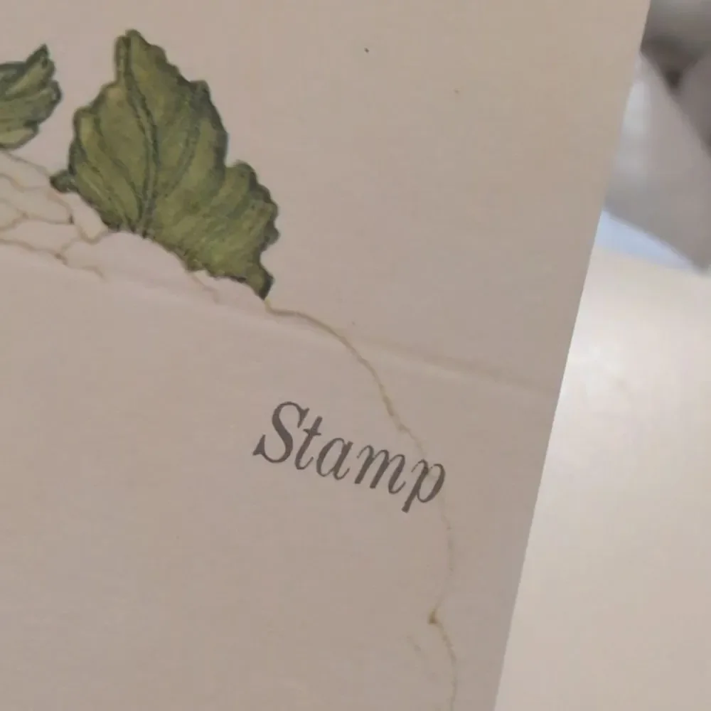 Vintage MCM Vegetable‎ Lk Powell Art Paper Stationary Lot Fold A Note
